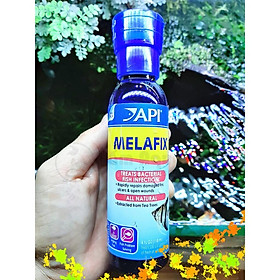 API Melafix - Chế Phẩm Kháng Khuẩn Tự Nhiên