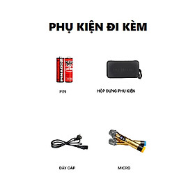 Mua Loa karaoke xách tay Dalton PS-K10A LUXURY  Công suất 300W  bass 10 inch (2.5 tấc) kem 2 micro không dây sóng UHF- HÀNG CHÍNH HÃNG - BH 12 tháng