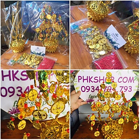 Combo full bộ nguyên liệu cây tiền tài lộc thơm như hình 30cm