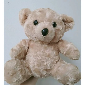 Gấu Teddy lông mềm mịn