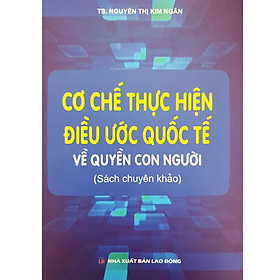 Download sách Cơ Chế Thực Hiện Điều Ước Quốc Tế Về Quyền Con Người (Sách Chuyên Khảo)