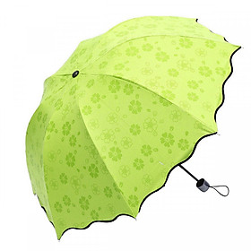 Mua Bộ 2 chiếc Ô đi mưa gặp nước nở hoa gấp gọn tiện dụng