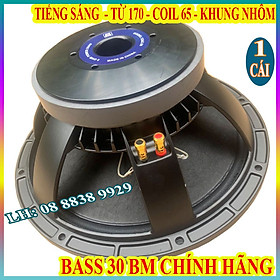 CỦ LOA BASS 30 BM COIL 65 TỪ 170 CAO CẤP HÀNG NHẬP KHẨU - GIÁ 1 CHIẾC