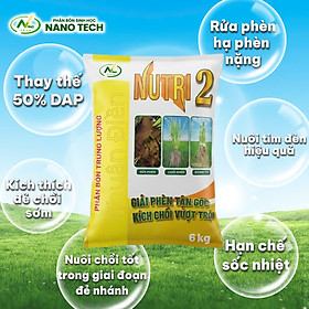 NUTRI 2 – Phân Bón Dạng Viên Thay Thế 50% Lượng Phân DAP, Giúp Đẻ Nhánh Và Phát Triển Đòng