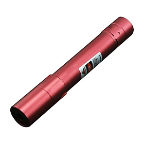 Laser Pointer Pen Laser Light Super Bright USB High Powered Pet Toy Powerful