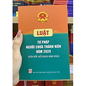 Luật Tư pháp người chưa thành niên năm 2024 (sửa đổi, bổ sung năm 2025)