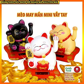 Mua Mèo thần tài mini  Mèo quắt năng lượng mặt trời  phụ kiện may mắn trang trí ô tô