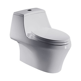 Mua Bồn cầu một khối cao cấp Bravat C21120XUW-3BA-ENG