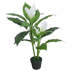 Mua Cây giả - Cây lan ý đẹp trang trí cao 90cm - LC2931
