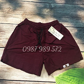 Quần sooc nữ chất đũi chất dầy dặn thoáng nhẹ mềm mát sn2002
