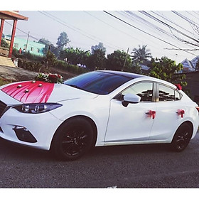 Mua Hoa cho xe cưới