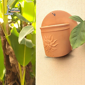 Chậu Treo Tường Đất Nung Hoa Văn Mặt Trời | Trang Trí Ban Công Treo Tường | Style Rustic | 24×24×15cm