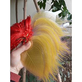 Mua Lá bồ đề ép sẵn dùng để viết thư pháp size 8-9cm