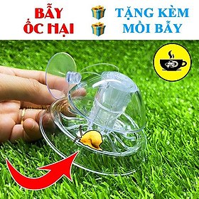 Bẫy Ốc Gây Hại Hồ Thuỷ Sinh -