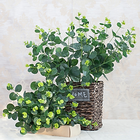 Mua Lá táo 16 nhánh dài 50cm phối hoa điểm cành