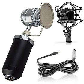 Micro hát Karaoke chuyên nghiệp BM-8000 + Màng lọc âm + Shockmount