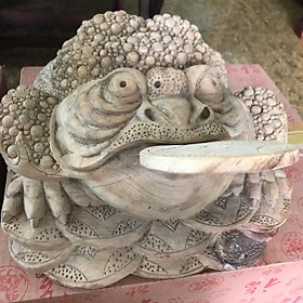 Tượng Cóc Gỗ Ngọc Am Ngậm Tiền giữ tiền thơm nhẹ size 32cm x 34cm Anh Chị trưng phòng khách nhà công ty may mắn tài lộc ạ
