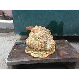 Mua Thiềm thừ phong thủy bằng gỗ huyết long kt 9×11×14cm
