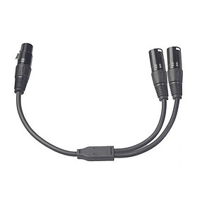 2X 3-Pin XLR Male Plug to Dual 2 Female  Splitter Mic Cable Adaptor 30cm