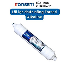 Lõi lọc nước Forseti Alkaline dùng cho máy lọc nước RO - Hàng chính hãng