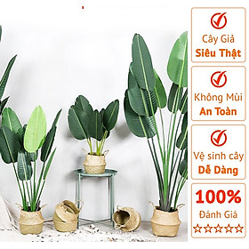 Mua Cây Chuối Cảnh Giả -Cây Chuối Xẻ Quạt 1m2  1m6 - HÀNG LOẠI ĐẸP LÁ DÀY
