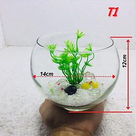 Bể cá mini TRÒN( TẶNG PHỤ KIỆN), chậu cá thủy tinh chọn mẫu