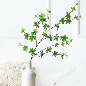 Mua Cành lá giả-Cành lá Thạch Nam cao 110cm thân nâu decor nhà cửa  lên cây siêu xinh