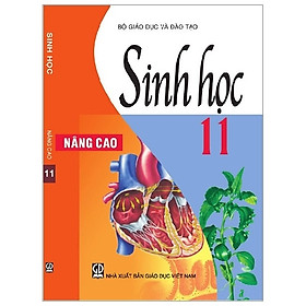 Sinh Học 11 – Nâng Cao (2020)