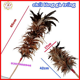 Mua Chổi lông gà dài cao cấp dài 65cm lông dài mướt không rụng lông con  chổi lông quét bụi