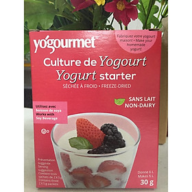 Men làm sữa chua vegan