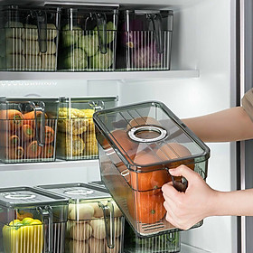 Mua Hộp Nhựa Cao Cấp Đựng Thực Phẩm Tủ Lạnh 2 Lớp Có Tay Cầm