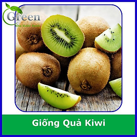 Mua Hạt Giống Quả KiWi Xuất Xứ Nhật (30H)