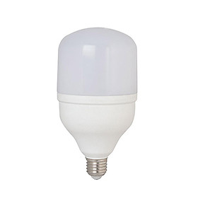 06 Bóng đèn led trụ 10W Rạng Đông, Model LED TR60N2/10w