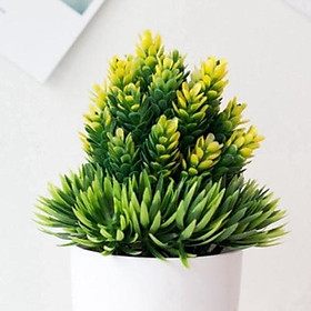 Mua Cây giả-CÂY DỨA GIẢ MAY MẮN TÀI LỘC để bàn cao 20cm trang trí nhà hàng  quán cafe  nội thất đẹp  decor giá sách  bàn học