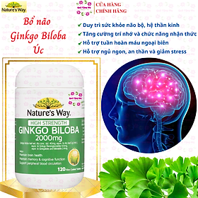 Bổ não Ginkgo Biloba Nature s Way úc giúp tăng tuần hoàn máu não