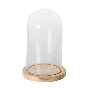 Bell Jar Decorative Cloche Display Wooden Base Wedding Banquet S