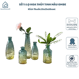 Mua Sét 5 Lọ Hoa Thủy Tinh Basic Phong Cách Bắc Âu Sang Trọng Màu Ombe - HÀNG CHÍNH HÃNG MINIIN