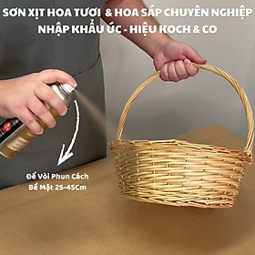 Mua Sơn Xịt Hoa Tươi Màu Vàng Gold 14KT (Vàng của 9999) của Úc hiệu Koch & Co giúp nhuộm phung sớnaÁnh Vàng sang trọng và vòi phun siêu mịn  khô nhanh  mùi thơm dịu nhẹ