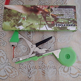 Mua KÌM GHIM CÂY DÂY LEO  CÂY THÂN MỀM