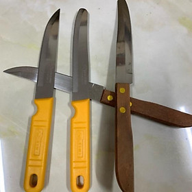 Mua Dao thái lan kiwi gọt hoa quả thái dau cán gỗ và cân nhựa rất sắc bén GDTH