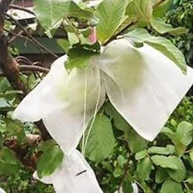 Mua Túi bọc ổi  xoài  na kt 18x20 set 100 túi chất liệu vải không dệt có dây rút