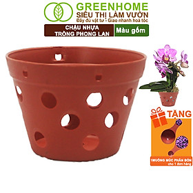 Chậu Trồng Lan Greenhome, R15xC10cm, Nhựa Màu Gốm, Bền, Đẹp, Chống Rơi Vỡ, Thoáng Rễ, Giá Thành Tốt - 1 CHẬU LAN 10X15CM