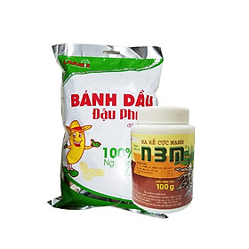Mua Combo chăm hoa mai kích ra rễ phục hồi mai sau tết  trồng cây con (n3m 100gr  bánh dầu lavamix gói 1kg)