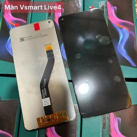 Chuẩn Zin Chính Hãng từ nhà máy Vsmart [ Màn New Zin Hãng Hiển thị đẹp Vsmart]