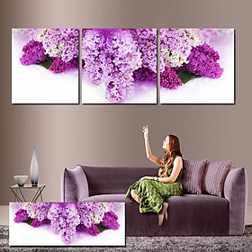 Tranh Canvas treo tường nghệ thuật | Tranh bộ nghệ thuật 3 bức | HLB_213