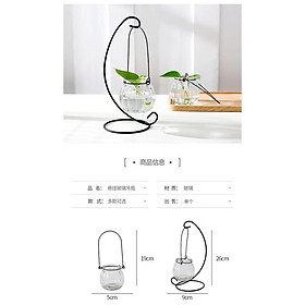 Mua Bình Thủy Tinh Trồng Cây Thủy Sinh Kèm Giá Treo