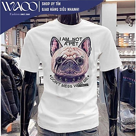 Áo Thun Nam, Có Bigsize Từ S Đến 8XL, Vải Cotton Cao Cấp, Mặc Mịn Thoáng Mát - Thời Trang Waoo, Mẫu ATNN220