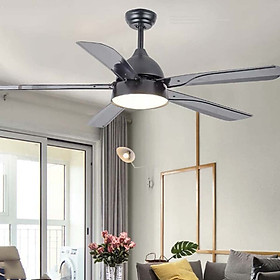 Quạt trần hiện đại 5 cánh