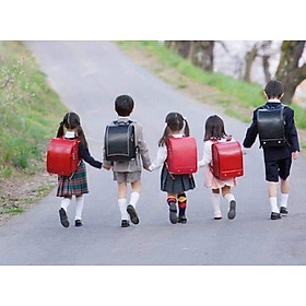 Balo Chống Gù Lưng Nhật Bản Hàng chính hãng