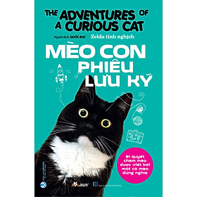 Mèo con phiêu lưu ký